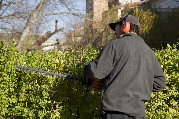 jardinier merignac actionnet